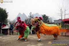 Tiger dancing