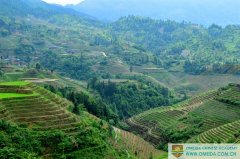 Sunday Outing-Rice Terrace Activity