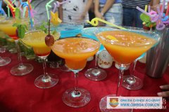 Cocktail Party 20160728