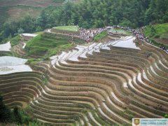 Trip for the Festival of Thinning Out the Seedlings in Longsheng